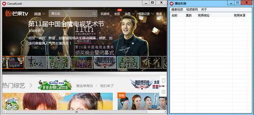 国产激情视频播放器下载