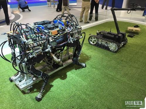 国产大狗机器人真实视频,智能机械宠物的真实风采展示